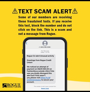 Fraud Alert Text