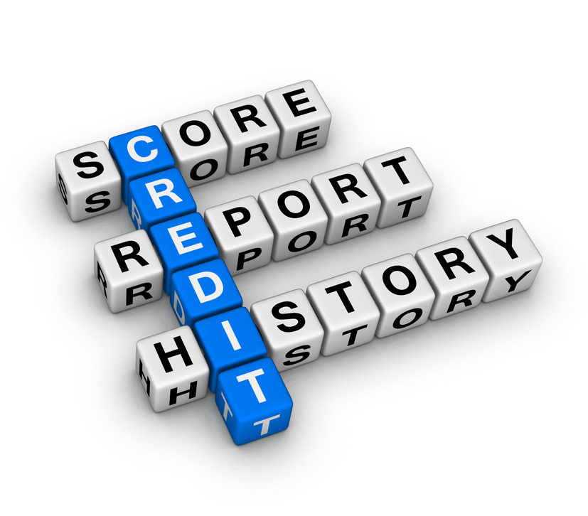 Credit Score Report History